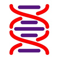 CHD2 UK logo - Similar company to Coalition To Cure Chd2