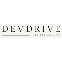 DevDrive Solutions logo - Similar company to Drive Dev