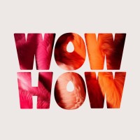 Wow-How Studio logo - Similar company to Qream Design Agency