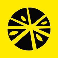 Lemonfizz Studio logo - Similar company to Augmentables