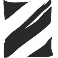 Zebra Health + Digital logo - Similar company to Excel Health