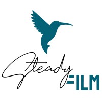 SteadyFilm logo - Similar company to Nirgend® Gmbh