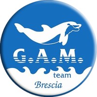 G.A.M. Team S.r.l. SSD logo - Similar company to Eos Informatica Srl