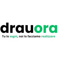 drauora logo - Similar company to Hireli