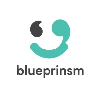 BLUEPRINSM童蓝 logo - Similar company to The Aba Project