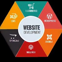WebDevelopmentSolutions logo - Similar company to Digi Decent