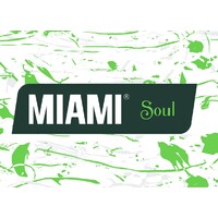Miami Soul logo - Similar company to Jlc Expert
