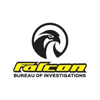 Falcon Bureau of Investigations logo - Similar company to Alusynco Hellas Services