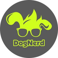 DogNerd Design logo - Similar company to Kava Game Studio