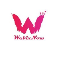 WebixNow logo - Similar company to The Creative Camp