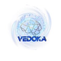 VEDOKA logo - Similar company to Stacklevel