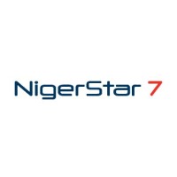 NigerStar7 Limited logo - Similar company to Pivot-Gis