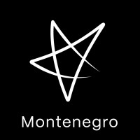 Vega IT Montenegro logo - Similar company to Eclept
