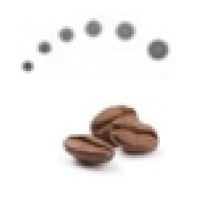 Lite Bean Corporation logo - Similar company to Active Physio Works