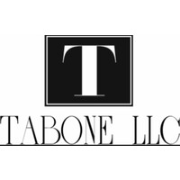 TABONE LLC logo - Similar company to Amelio Software