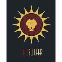 Leo Solar logo - Similar company to Pas Solar