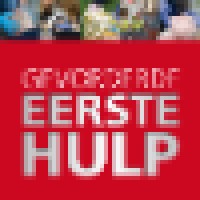 Gevorderde Eerste Hulp logo - Similar company to Veldnorm Evenementenzorg