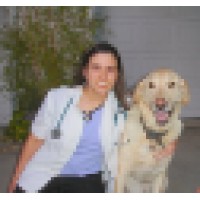Dr. May's Veterinary House Calls