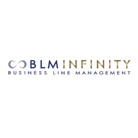 BLM Infinity logo - Similar company to Circle Consulting