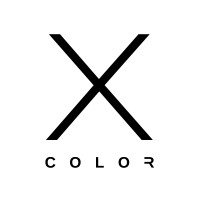 X Color logo - Similar company to Summa, Inc.