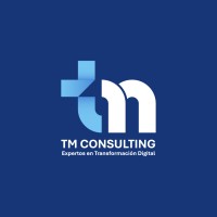 TM CONSULTING logo - Similar company to Secpro Llc