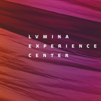 Lvmina logo - Similar company to Accu-Chart Plus Healthcare Systems, Inc.