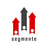 Segmente Organisation logo - Similar company to Segmenter