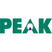 PEAK Computer Solutions logo - Similar company to Rogue Technologies