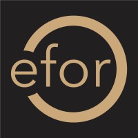 EFOR logo - Similar company to Emisys