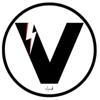 Viral Egypt logo - Similar company to Valiidate