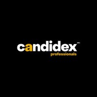 Candidex Professionals (NZ) logo - Similar company to Learningplanet