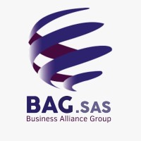Business Alliance Group BAG SAS logo - Similar company to Kgv Servicios
