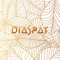 DIASPAT logo - Similar company to Congolese Kring