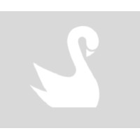 White Swan (Charity)