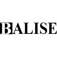 Balise logo - Similar company to Faju