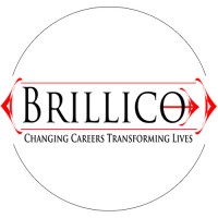 Brillico Consultants, Inc logo - Similar company to Placenest Services Private Limited