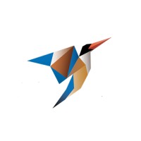 Black Cap Halcyon logo - Similar company to Euroasia'S Ingredients