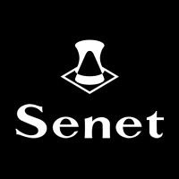 Senet logo - Similar company to Jam.Gg