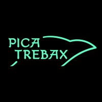 PicaTrebax logo - Similar company to Ukrainian Intelligence Systems