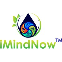 iMindNow logo - Similar company to Peach Mindfulness