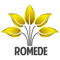 Romede Research & BI logo - Similar company to Acta Vastgoed