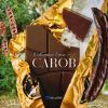 Carob the chocotree logo - Similar company to Hydract