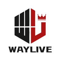Nanjing WayLive Technology Co., Ltd. logo - Similar company to Valience