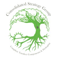 Consolidated Strategy Group logo - Similar company to Zatik Inc