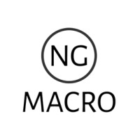 Ngmacro Automation logo - Similar company to Atlas Sensorler Otomasyon San. Tic. Ltd. Şti.
