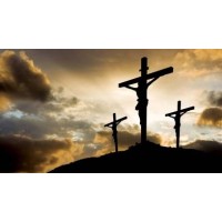The Bald Catholic logo - Similar company to Rapport R&D Tax Strategy