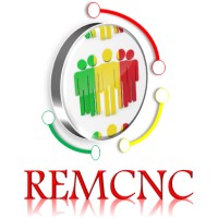 REMCNC logo - Similar company to Pioneer Power Group
