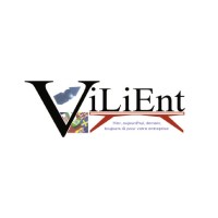ViLiEnt Consulting SA logo - Similar company to Opteamiz