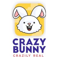 CRAZY BUNNY logo - Similar company to Vjv It Solutions Pvt Ltd