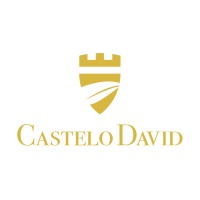Castelo David logo - Similar company to The Miles Consultancy